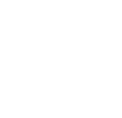 AVS logo
